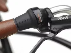 Electra Townie Go! 5i EQ Step-Over (2022-2023) -MAASTOPYÖRÄT myymälä TownieGo5iStepover 21 33005 C Alt6